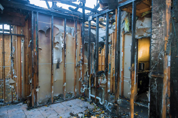 Professional Fire Damage Removal technician working in Bridgeport, IL